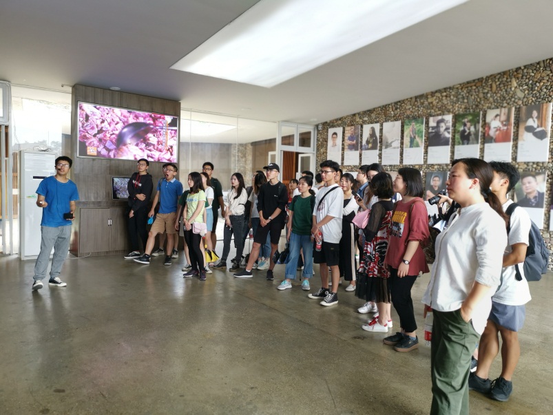 英国上市公司365