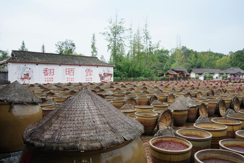 英国上市公司365